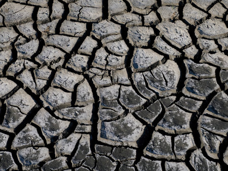 detail of dry soil of The salt pans of Aveiro Portugal
