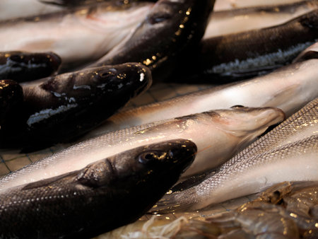 fresh fish seafood at Ortigia Syracuse sicily historic fish market Italy