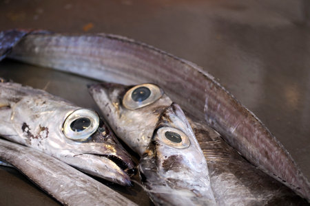 fresh fish seafood at Ortigia Syracuse sicily historic fish market Italyの写真素材