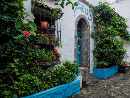 Zeus doradal colombian santorini pictoresque village white and blue house greek greece style in...