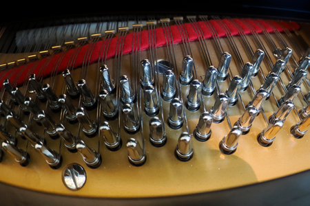 Inside acoustic grand piano strings detail close upの写真素材