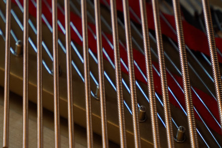 Inside acoustic grand piano strings detail close up
