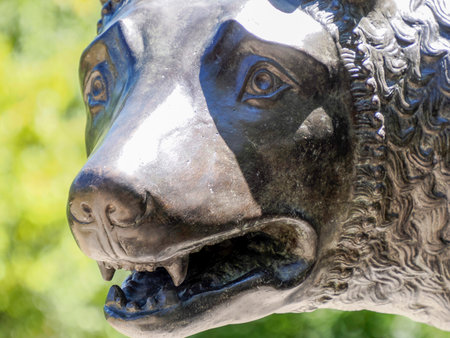 The Cincinnati wolf statue was gifted by the people of Rome, Italy, to Cincinnati in commemoration of the Roman patrician and leader Cincinnatus, for whom Cincinnati is named.の写真素材