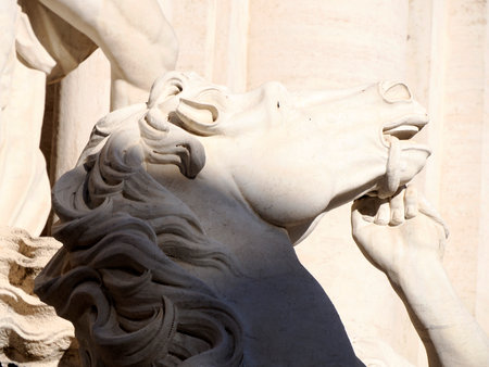 trevi fountain under restoration detailの写真素材