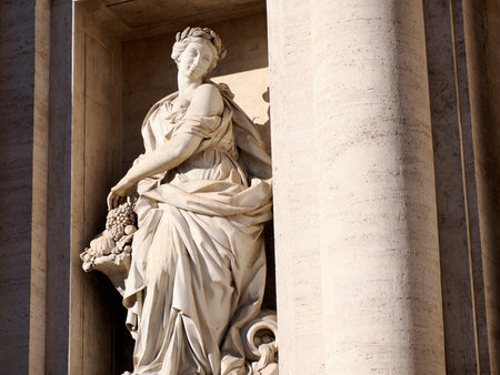 trevi fountain under restoration detailの写真素材