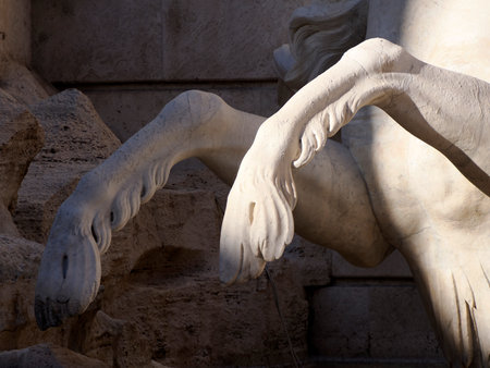 trevi fountain under restoration detailの写真素材