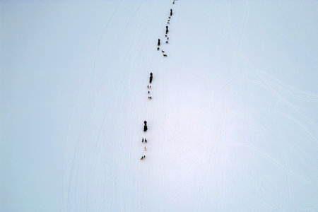 Sled dog ice lapland winter aerial Inari Nellim frozen lakes and forest landscape panoramaの写真素材
