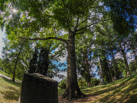 Cincinnati Finneytown historical cemetery Graveyard.の写真素材