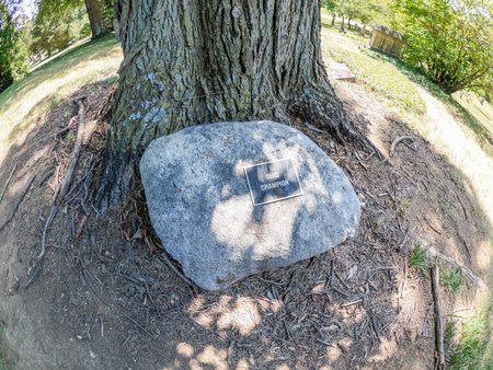 Champion oldest biggest tree in Cincinnati Finneytown historical cemetery Graveyard.の写真素材