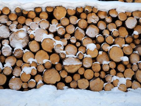 A stack of cutted wood logs under the snow in the Dolomites winter seasonの写真素材