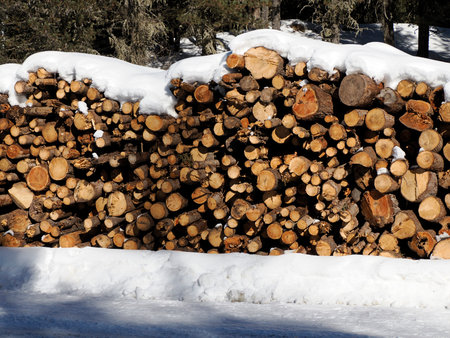 A stack of cut wood logs under the snow in the winter seasonの写真素材