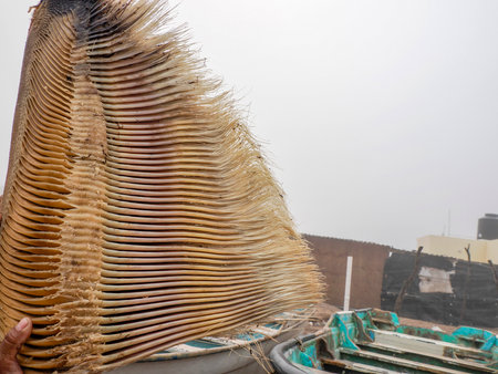 A gray whale baleen detail close up