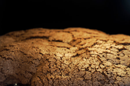 The Chocolate Colomba traditional Italian Easter celebration sweet detailの写真素材