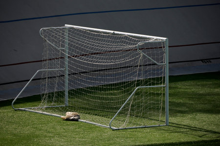 Soccer field synthetic grass detailの写真素材