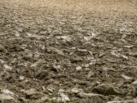 worked soil ready to be planted in spring season detailの写真素材