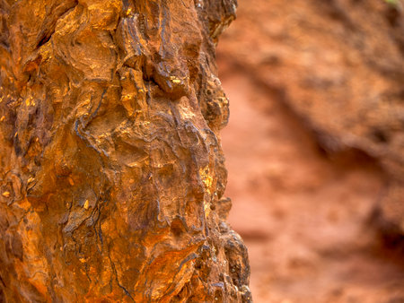 Detail of colored rocks in the Ocher canyon valley massif in Provence France Rousillon area