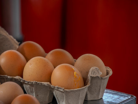 fresh organic eggs in provence france street marketの写真素材