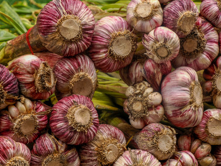 garlic heads in provence market detailの写真素材
