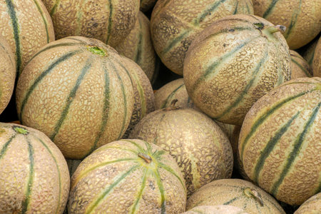 Orange melons in Provence France street marketの写真素材