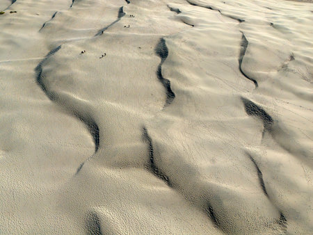 Rabjerg Mile aerial view sand dunes landscape near Skagen, Denmark