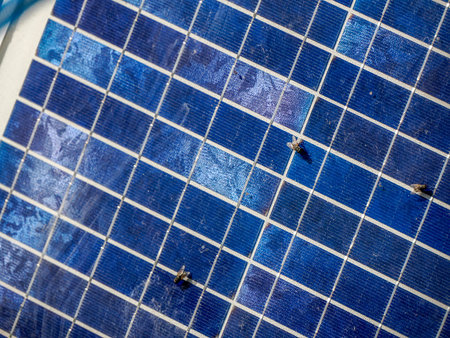 An insect on blue solar panelの写真素材