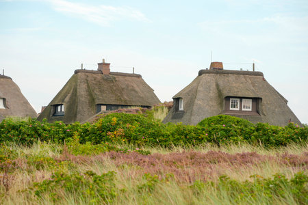 Frisians house with wattle roof in Sylt Island Germany