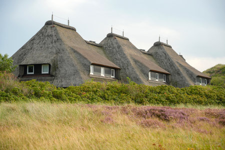 Frisians house with wattle roof in Sylt Island Germanyの写真素材
