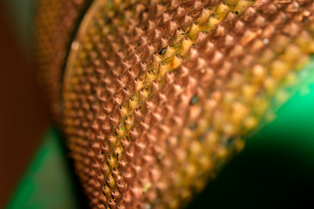 seeds separator machine detail close upの写真素材