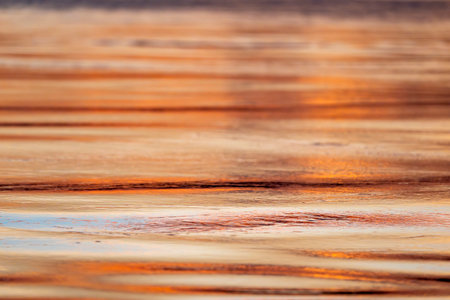 Amazon River waters at sunsetの写真素材