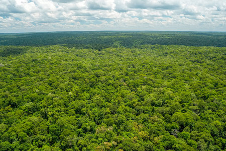 A Tropical rainforest landscape Aerial view Scenic destination panorama from helicopter tour