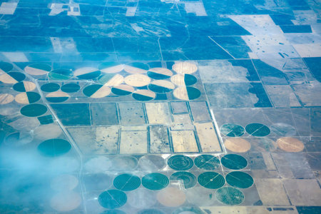 Many Agriculture circular irrigation circles aerial view in peninsula valdes panorama from airplane...