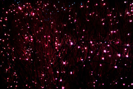 Christmas lightsの写真素材