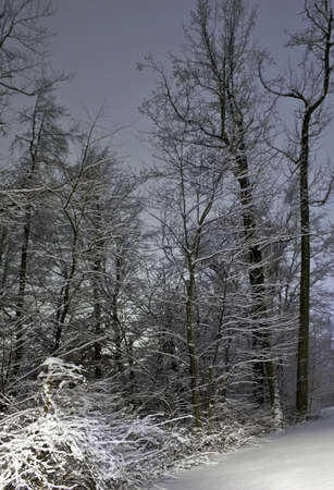 Winter landscapeの写真素材