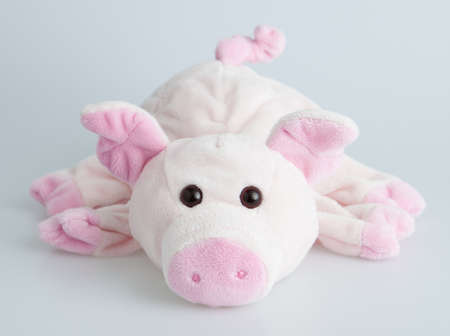 Stuffed pinf piggy isolatedの写真素材