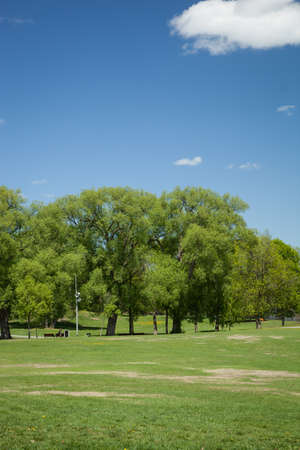 Summer park with beautiful blue skyの写真素材