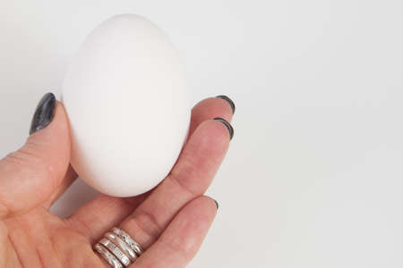 Hand holding a white egg on a white background