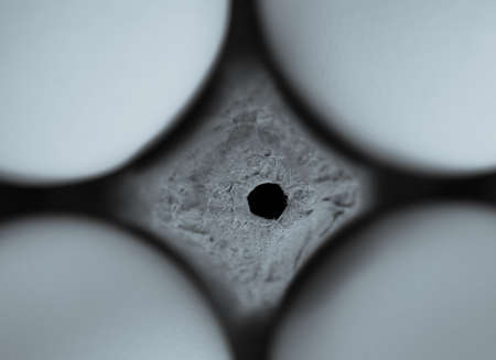 Closoe-up of in eggs cardboard container