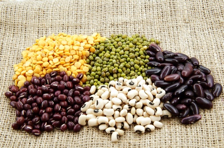 beans in more type and colorの写真素材