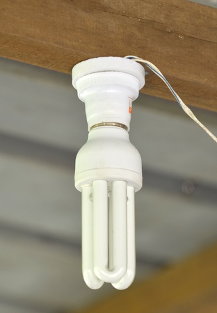 Energy saver bulbの写真素材