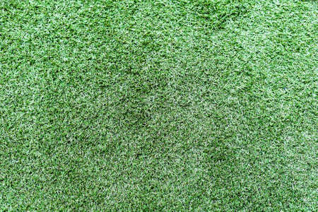 Grass Textureの写真素材