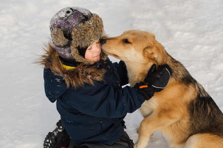 Toddler boy kissing big fog in winter park. Best friends consept.の写真素材