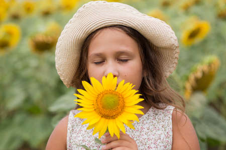 Girl smelling sunflower in the summer field at cloudy dayの写真素材