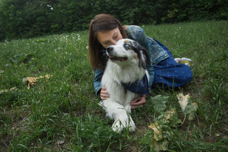 Lying australian shepherd kissing with woman in summer fieldの写真素材