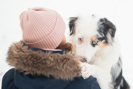 Australian shepherd in hugging with woman in winter forest.の写真素材