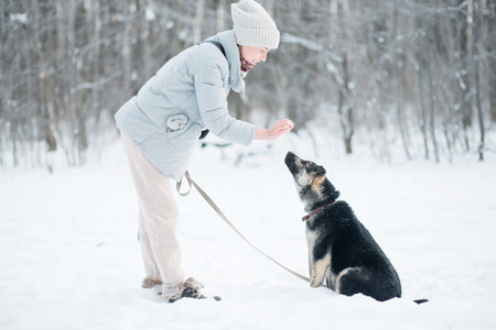 Caucasian woman training mixed colours mongrel dog belly in winter outdoor