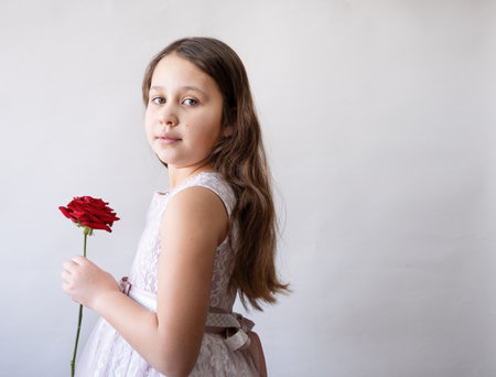 Cute little girl in beautiful pink dress with rose valentine day.の写真素材