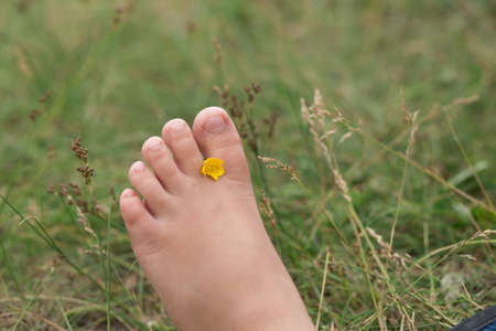 Kids bare feet with yellow flower on the grassの写真素材