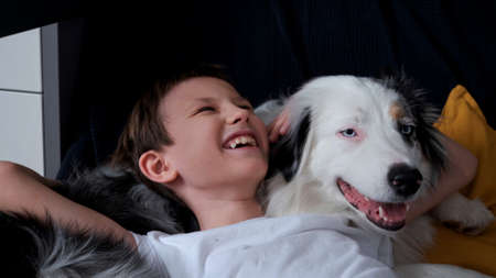 Happy little boy lying on australian shepherd merle dog