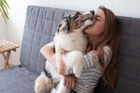 Happy woman hold kiss blue merle Australian shepherd puppy dogの写真素材