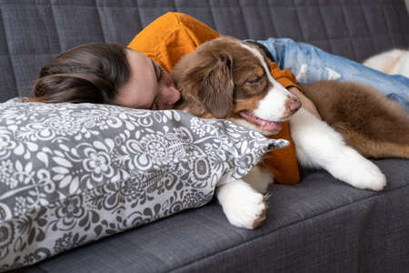 Woman sleep with beatiful Small red three colours Australian shepherd puppy dogの写真素材